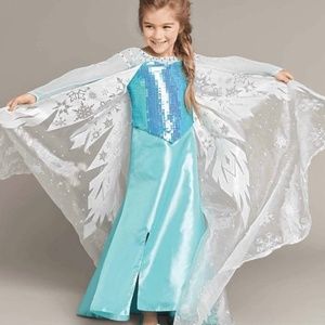 Chasing Fireflies Elsa Dress/Costume